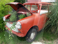 Austin Mini Cooper als Gartenschmuck, 2005