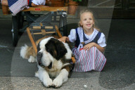 Folklore Schweiz Bernhardiner  Hund