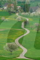 Feldweg , Wiese