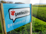 Plakat für eine gentechfreie Landwirtschaft, 2005 