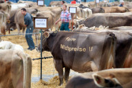 Viehschau  Appenzell 