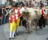Viehschau  Appenzell