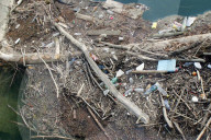 Unrat, Abfall und Holz im Wasser
