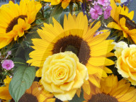 Blumenstrauss  Sonnenblumen  Rose