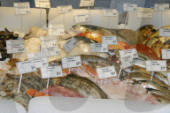Fischabteilung im Coop in Wettingen, 2004
