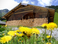 Almhütte im Berner Oberland, Holzvorrat, Sonnenkollektoren, 2006