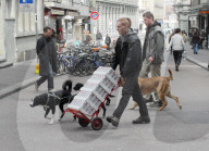 Jugend  Bierkonsum