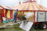 Tierpfleger mit Schubkarre Mist   Circus Nock