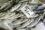 Sardinen auf dem Fischmarkt in Pula