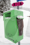 Robidog im Schnee