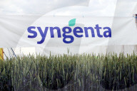 Landwirtschaft  Syngenta Duengermittel,
