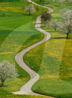 Fruehling, Kurvenreiche Strasse