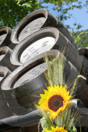 Jodlerfest Interlaken , Bierfässer / Sonnenblume