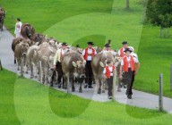 Appenzeller Bauern in Tracht