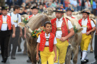 Viehschau  Appenzell 