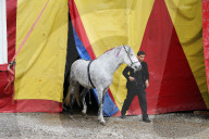 Pferd   Circus Nock