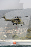 Task Force Pelo