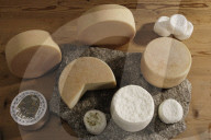 Von Maria Morell in Guarda hergestellte Ziegenkäse; 2006
