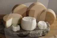 Von Maria Morell in Guarda hergestellte Ziegenkäse; 2006