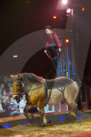 Circus Knie Gala f�r Beat Richner 2013