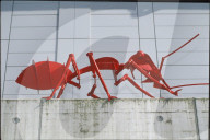 Rote Stahl-Ameise von Yvan Pestalozzi 1998