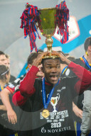 FC Basel, Fussball Meistertitel 2013