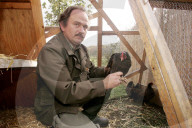 Huhn überlebte Aufenthalt in Kadavercontainer, 2005