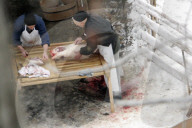 Wollschwein im "Sahlenweidli" wird geschlachtet, 2004