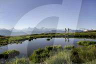 Niederhorn