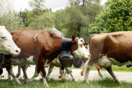 Familie Seiler