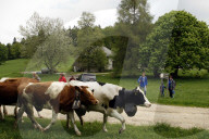 Familie Seiler