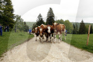 Familie Seiler