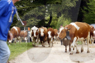 Familie Seiler