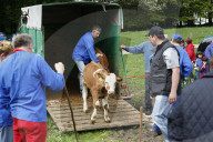 Familie Seiler