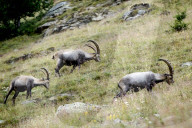 Wandern mit Margareth Voide  05/24