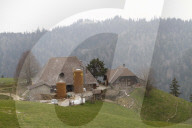 Gebrueder Stettler