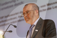DV FDP