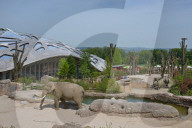 Zoo02.jpg