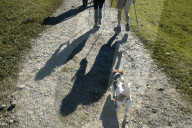 Schatten von Wanderern, Appenzell 2004