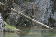 Fluss beim Olymp, Griechenland