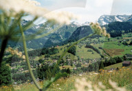BILD AUS DEM TOGGENBURG