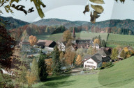 BILD AUS DEM TOGGENBURG