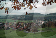 BILD AUS DEM TOGGENBURG