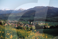 BILD AUS DEM TOGGENBURG