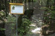 Appenzeller Witzwanderweg, 2004