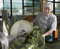 Firma Bioforce in Roggwil, 2004