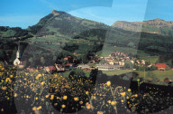 BILD AUS DEM TOGGENBURG