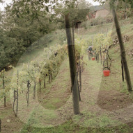 BILD AUS DER TOSCANA