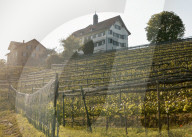 DAS DORF WITTENBACH