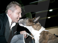 ANIMALIA, DIE INTERNATIONALE HUNDEAUSSTELLUNG